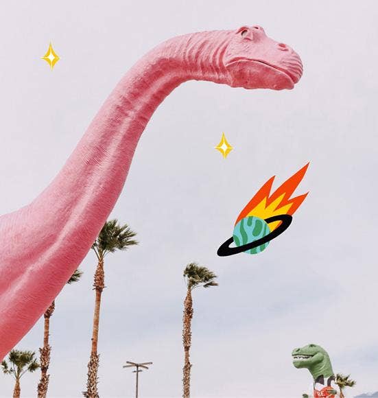 Lost in Translation - Eau De Parfum 50ml - a woody spicy aquatic scent