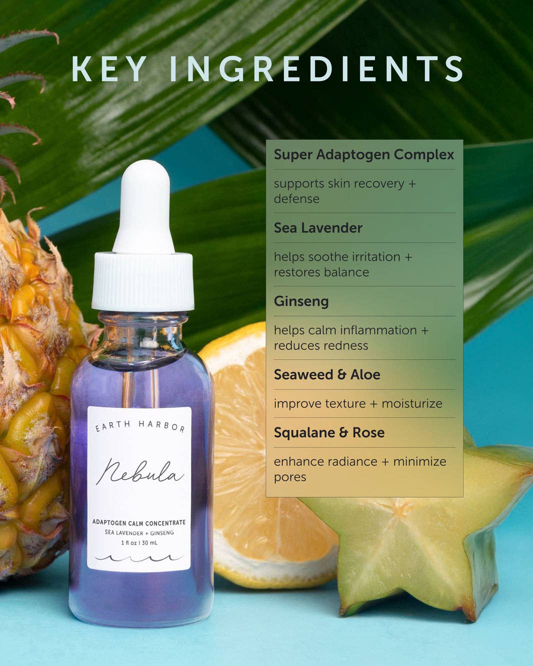 NEBULA Adaptogen Calm Concentrate: Sea Lavender + Ginseng