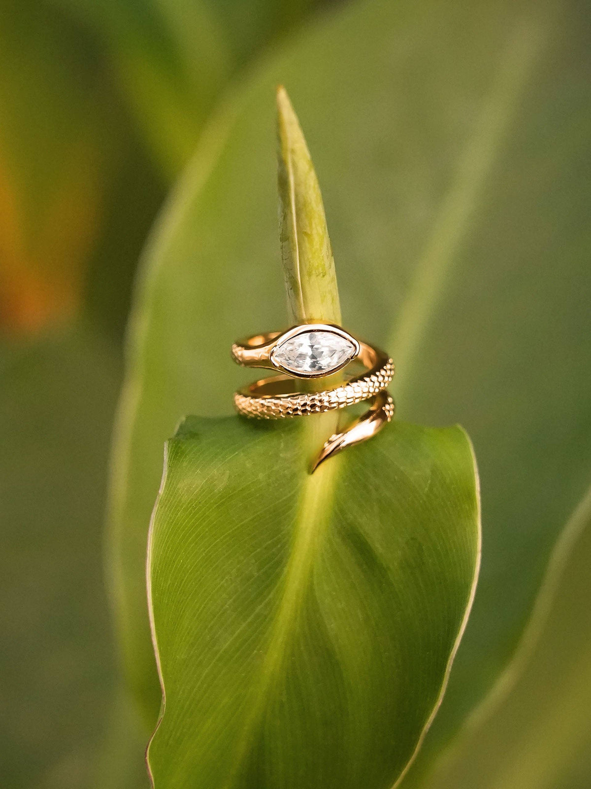 Ettika Marquise Coiled Ring