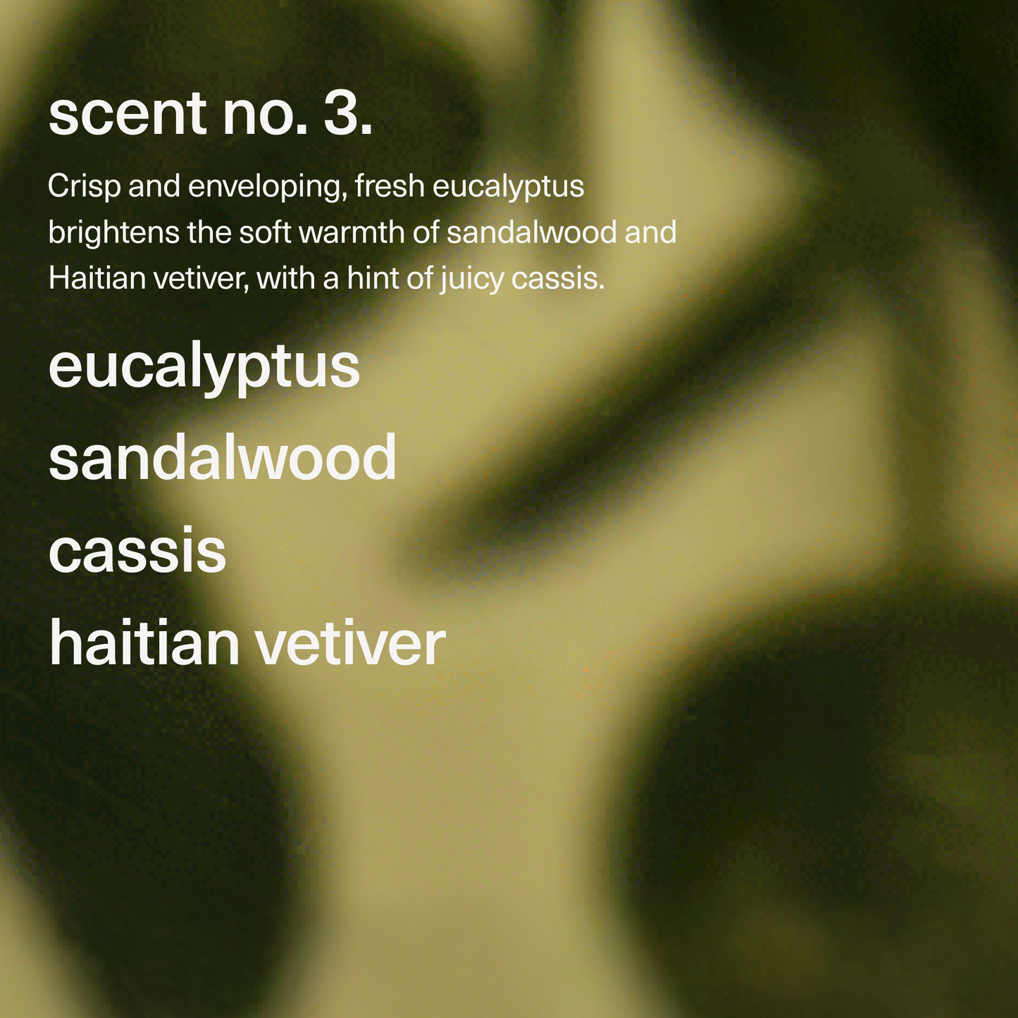 Maude Burn no. 3 - Body Massage Candle Eucalyptus and Sandalwood Scent