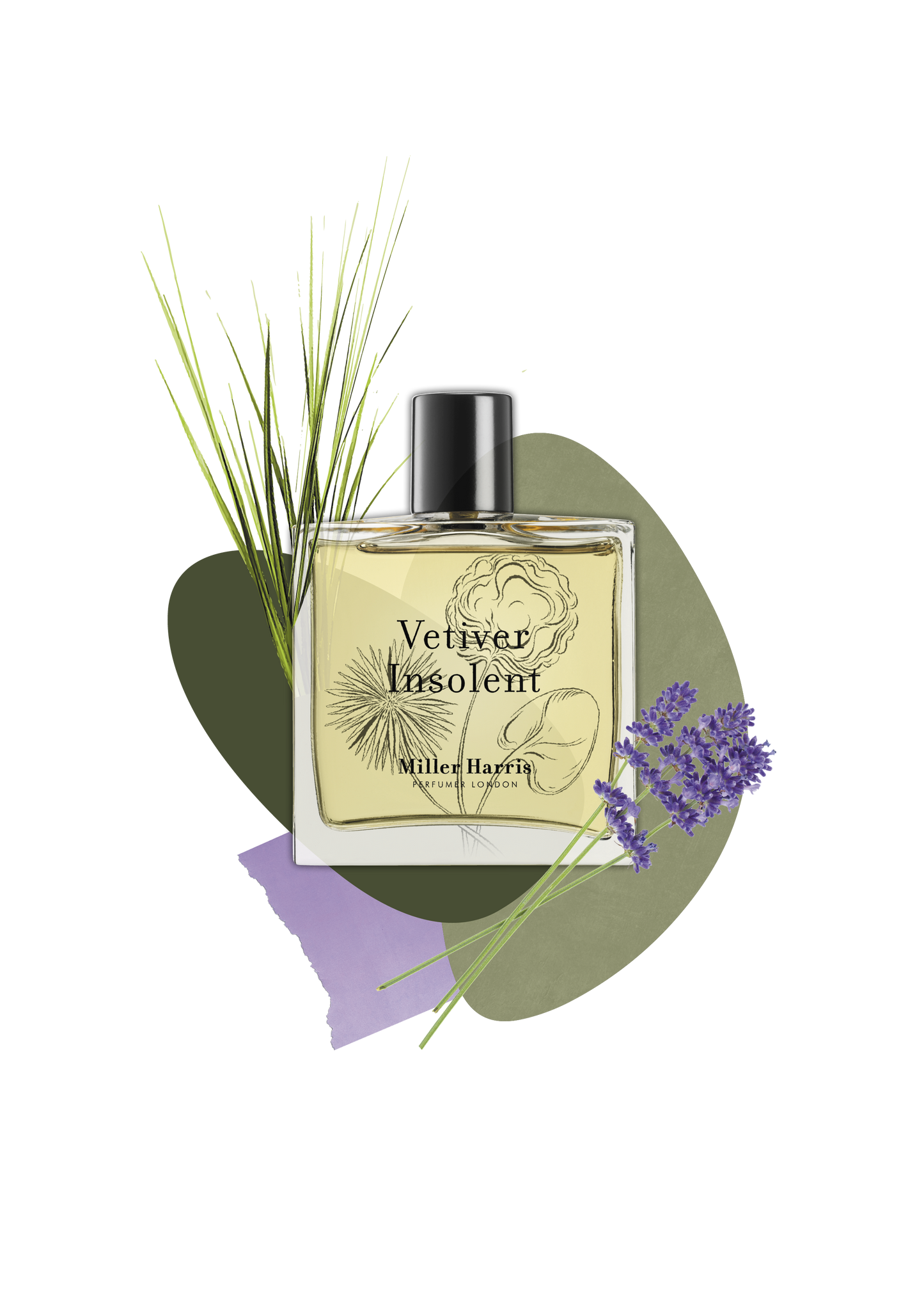 Miller Harris Perfumer Vétiver Insolent (50ml) - A woody fragrance