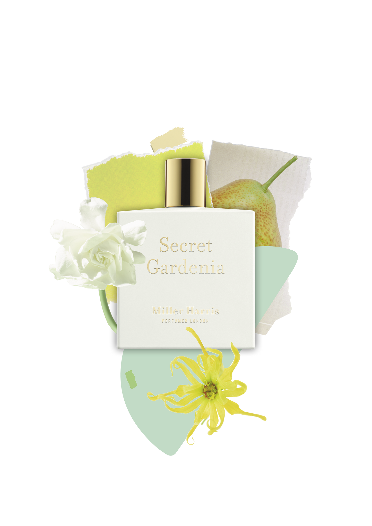 Secret Gardenia - A floral, aquatic fragrance