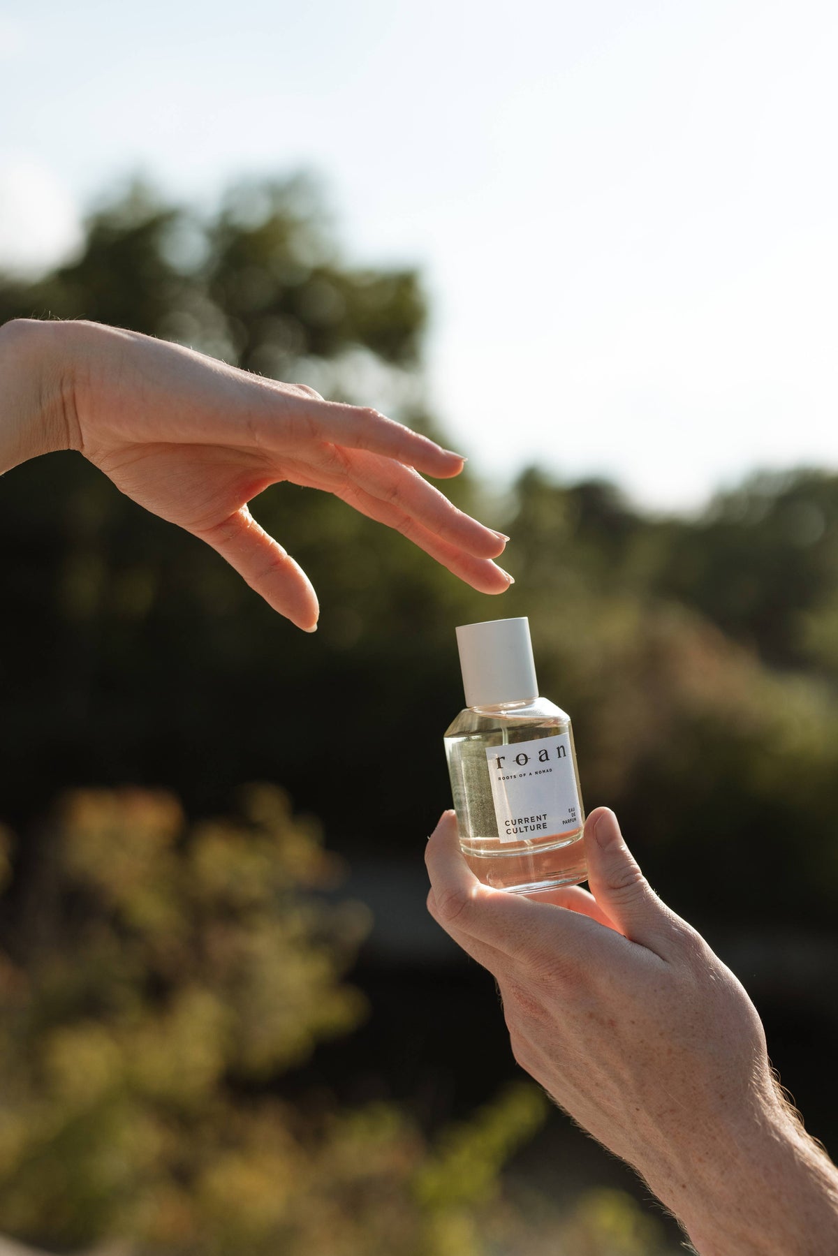 ROAN Fragrances Current Culture- Eau De Parfum| Matcha & Aquatic Freshness