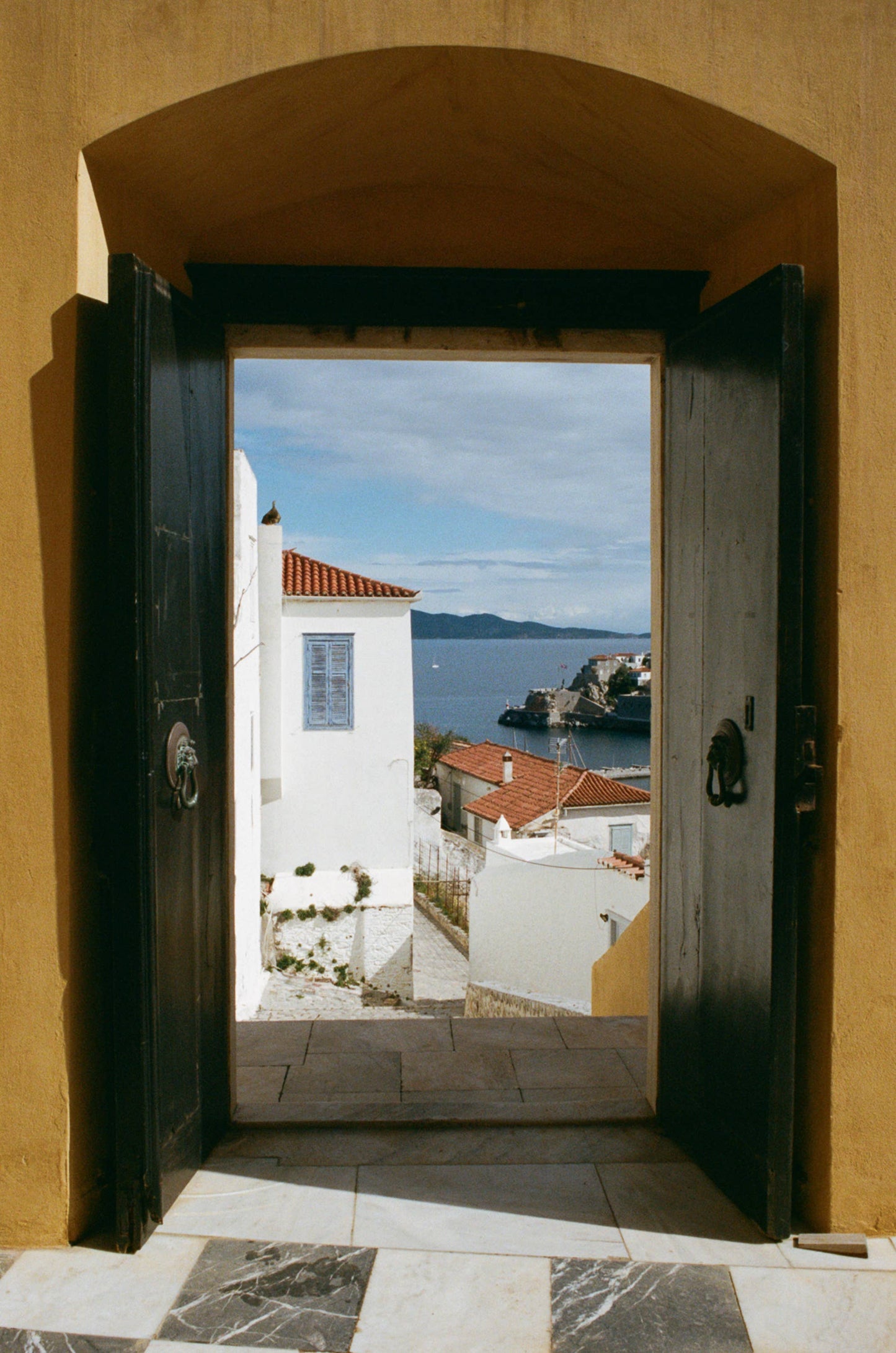 Hydra Figue - 50ml - A woody, aromatic fragrance