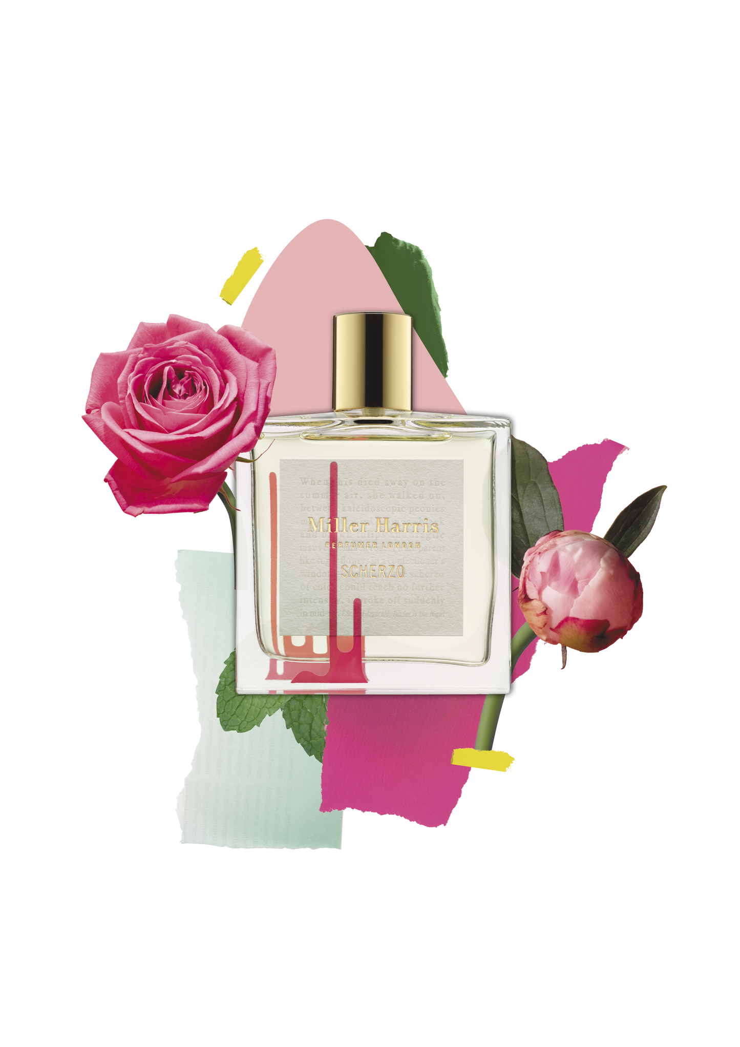 Scherzo - A floral oriental fragrance 50 ml