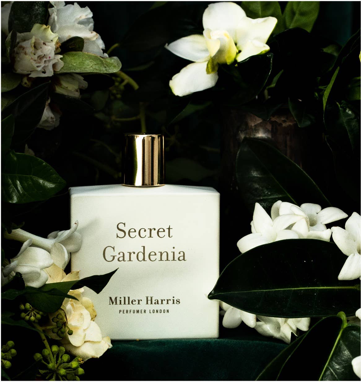 Secret Gardenia - A floral, aquatic fragrance