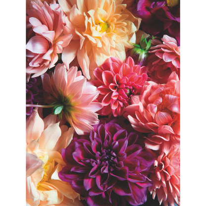 Korres Midnight Dahlia Eau de Toilette