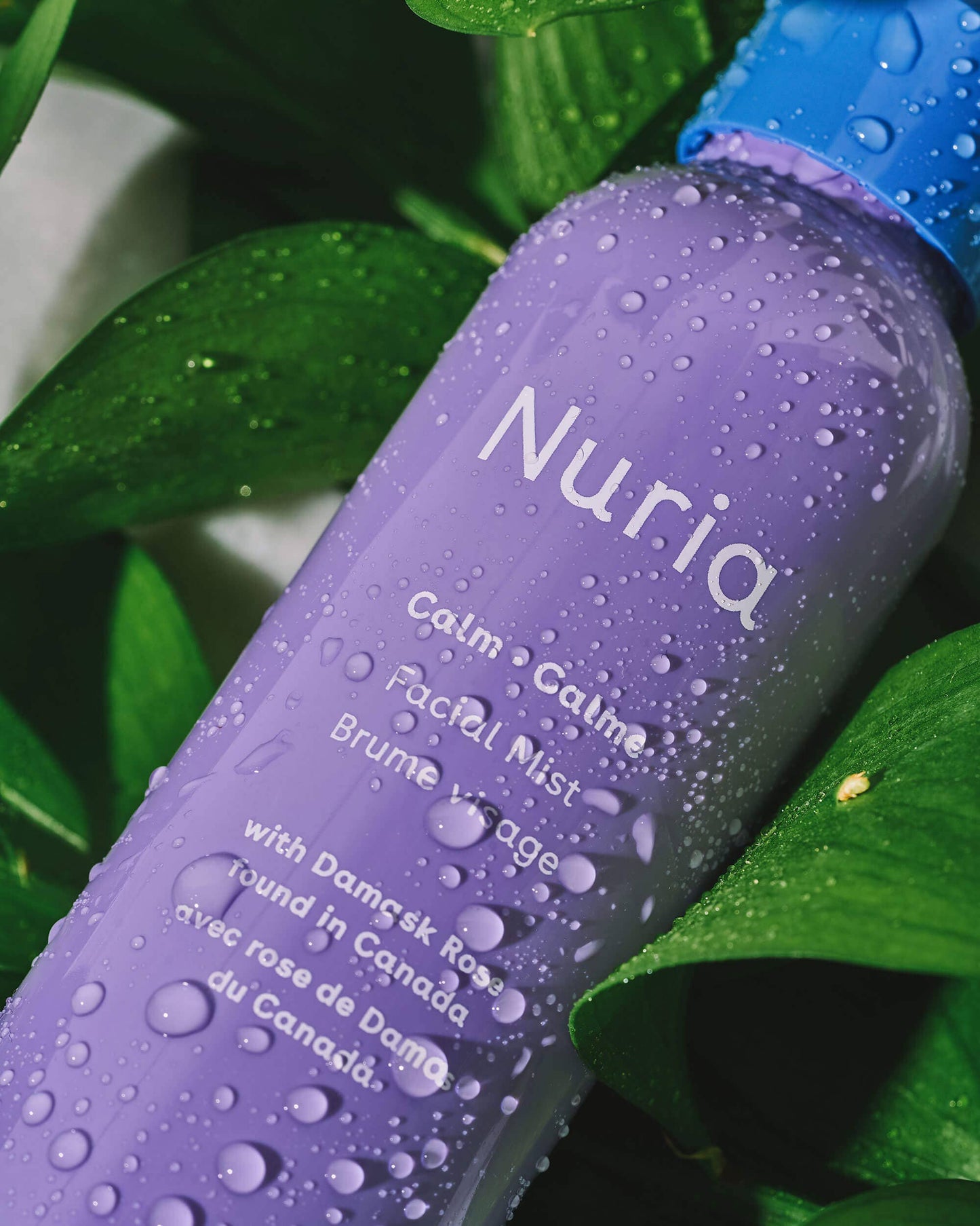Nuria Beauty Calm Facial Mist Mini