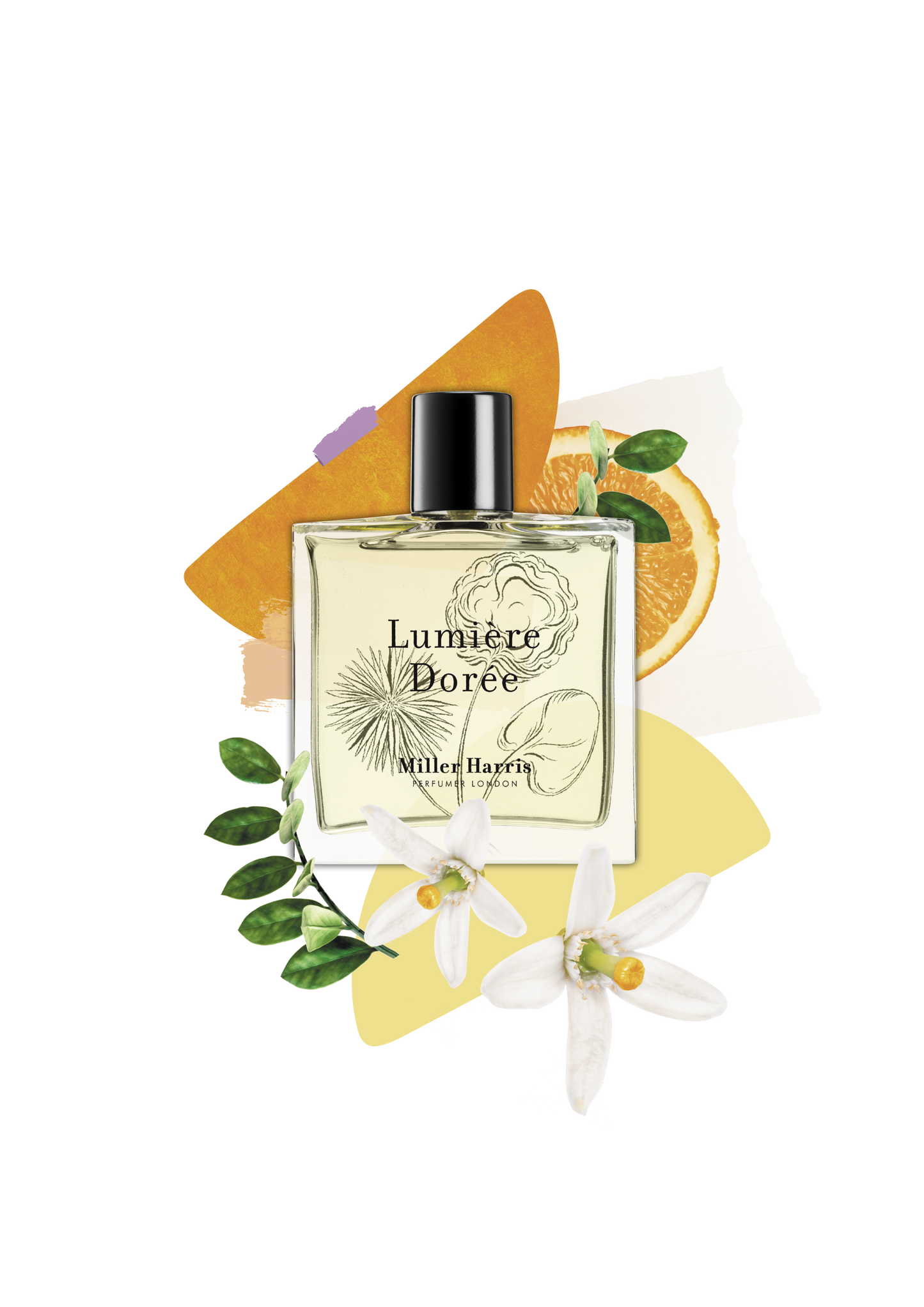 Lumière Dorée - A citrus, floral fragrance
