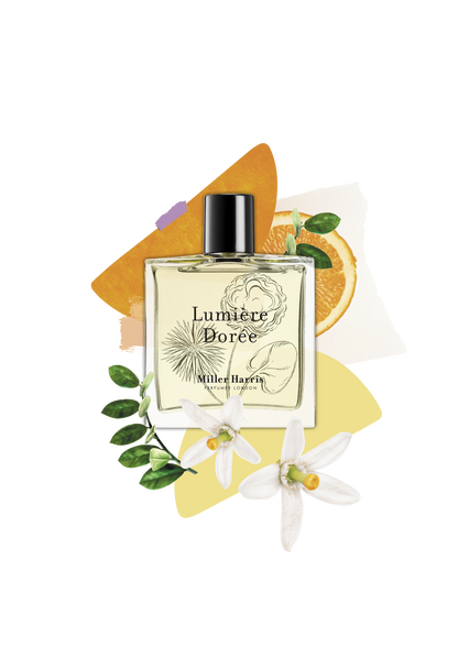 Lumière Dorée - A citrus, floral fragrance