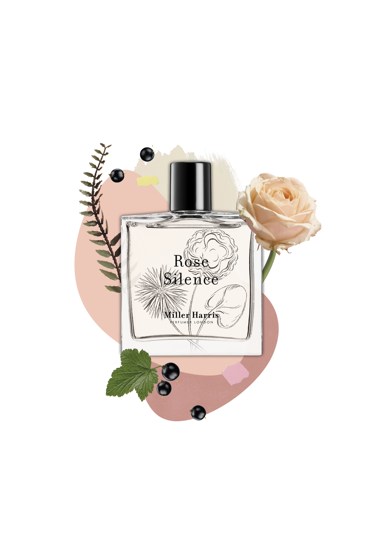 Rose Silence - A pure yet delicate floral fragrance